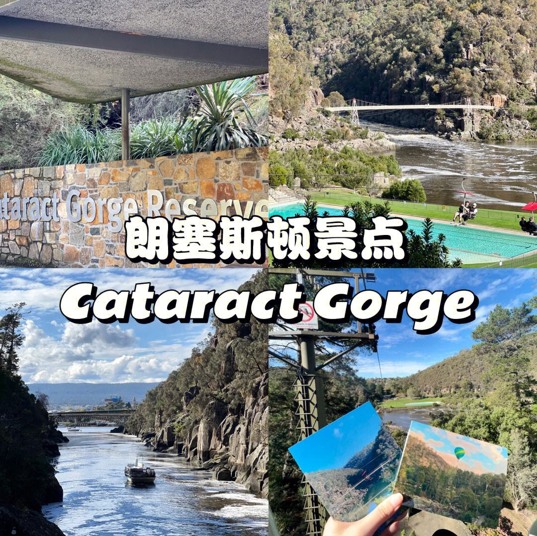 塔斯马尼亚联球迷现场助威，激发球队夺冠斗志的简单介绍